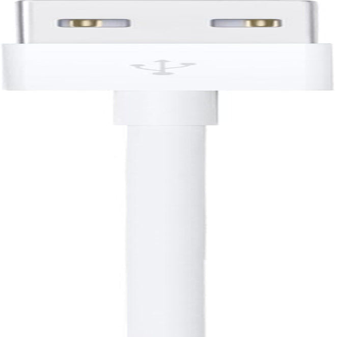 Lightning to USB Cable (1 M)