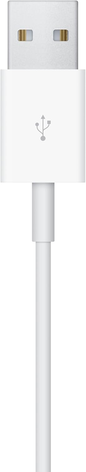 Apple Cable De Carga Magnético Del Reloj ( 1M )